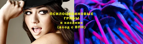 спайс Краснослободск