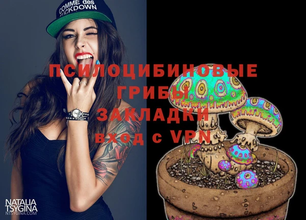 не бодяженный Красноперекопск