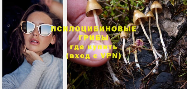 спайс Краснослободск