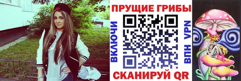 Псилоцибиновые грибы ЛСД  Купить где  Кодинск 